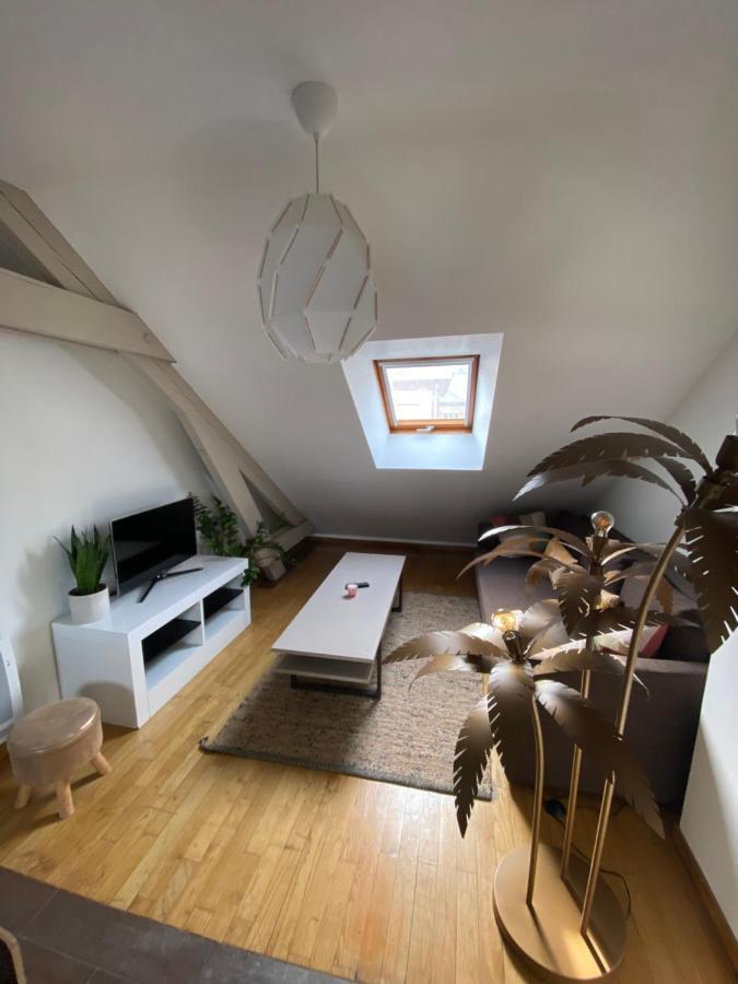 Appartement Hyper Centre Cathedrale Avec Parking Gratuit Amiens Eksteriør billede